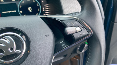 Skoda Kodiaq 2.0 TDI SE L Executive 5dr DSG [7 Seat] Diesel Estate